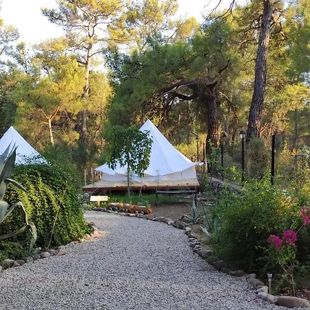 Kunduz Kamp Camping Olympos